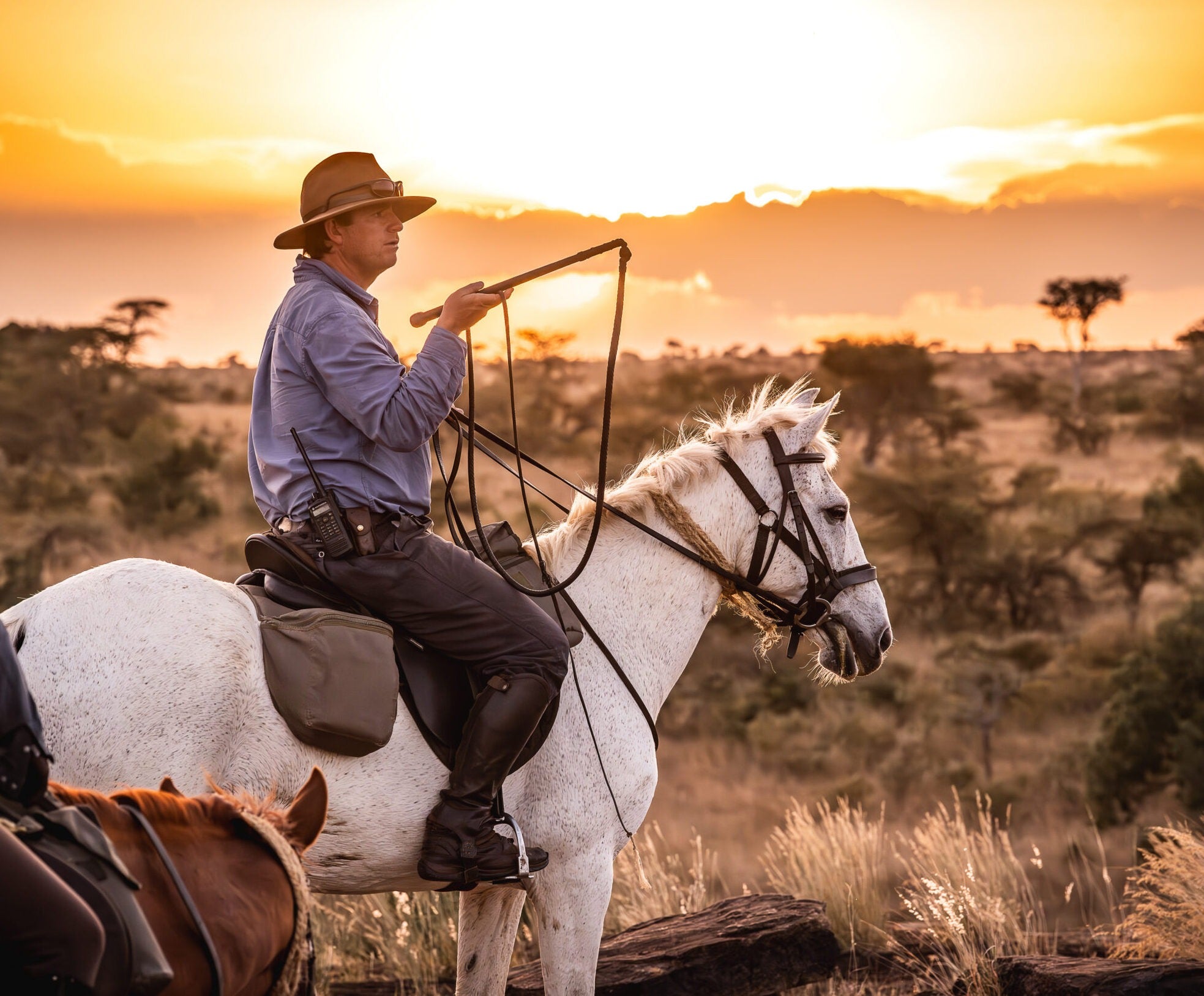 Africa's Big 5 Safari