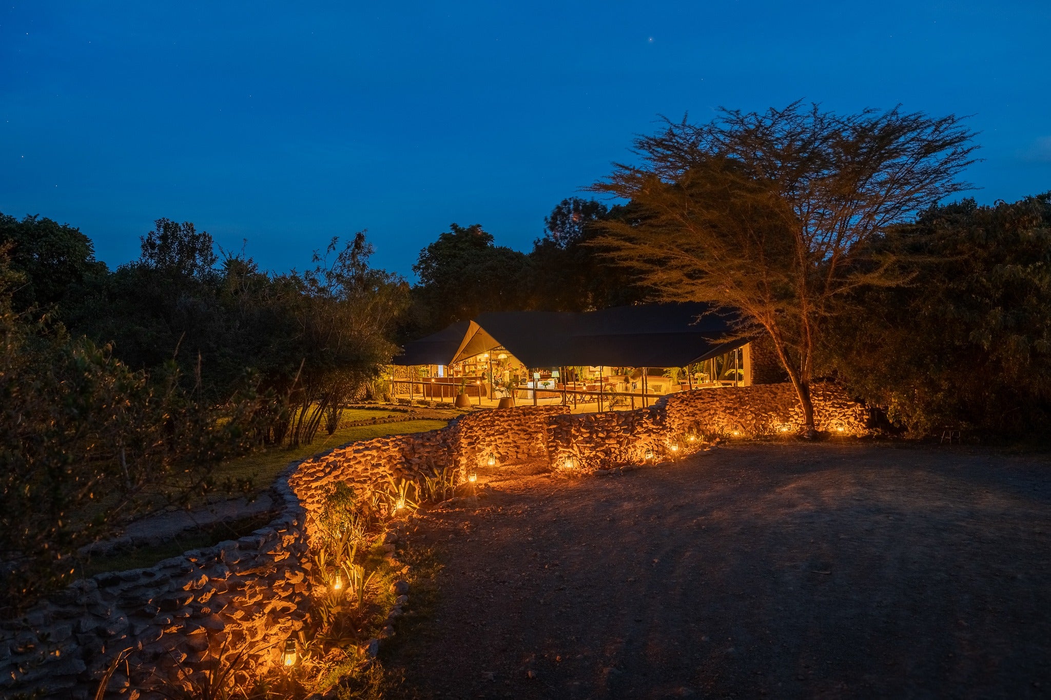 Africa's Big 5 Safari