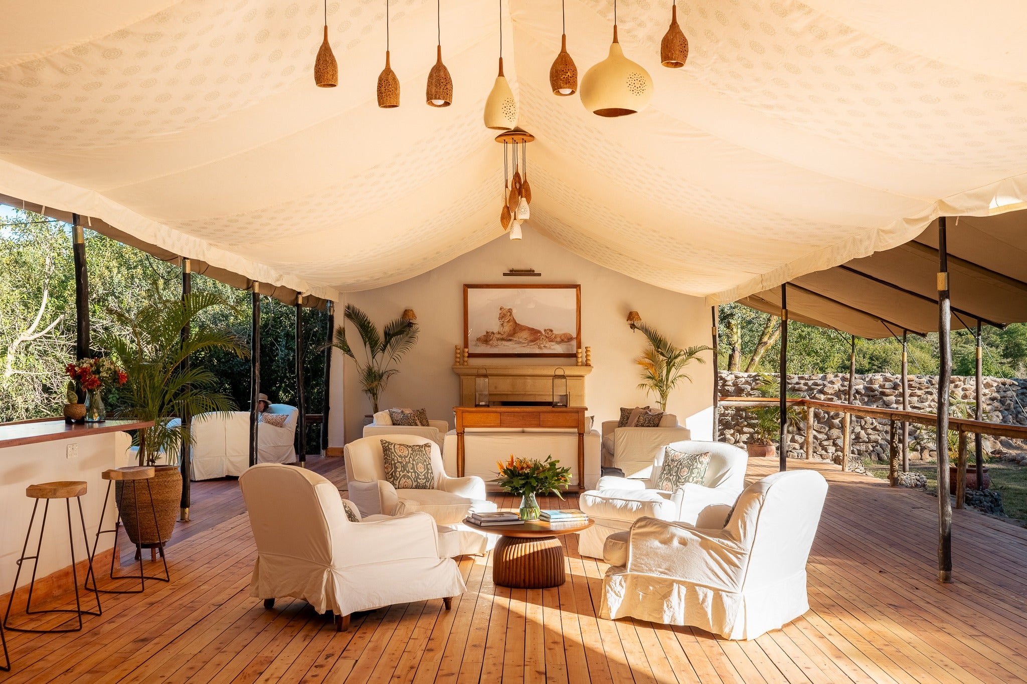 Africa's Big 5 Safari