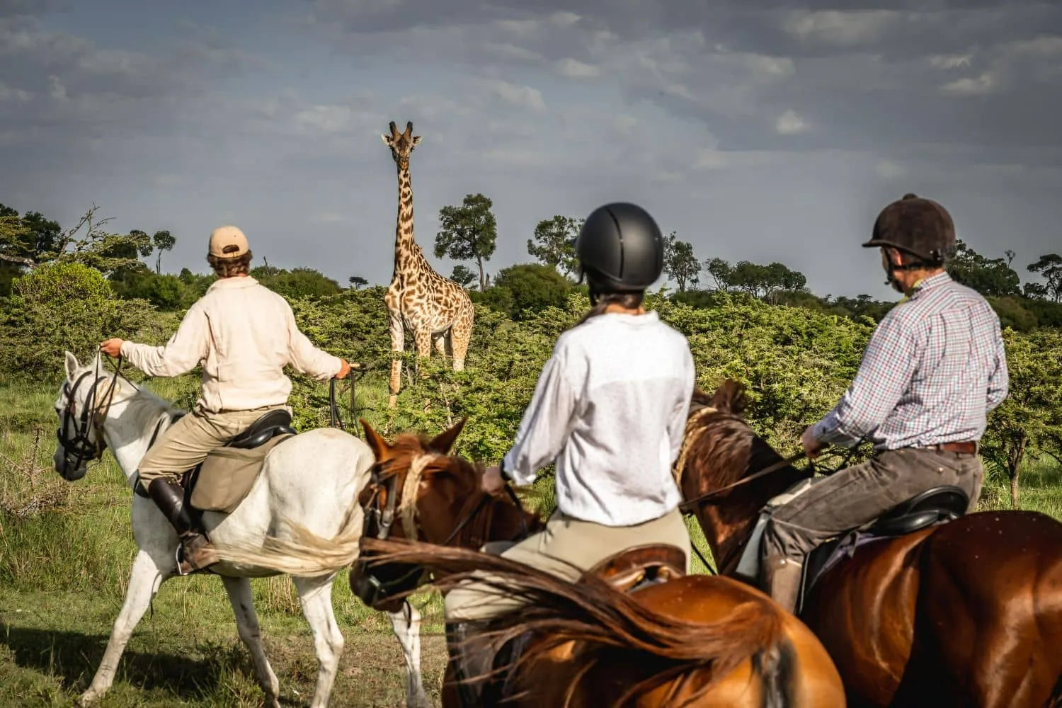 Africa's Big 5 Safari