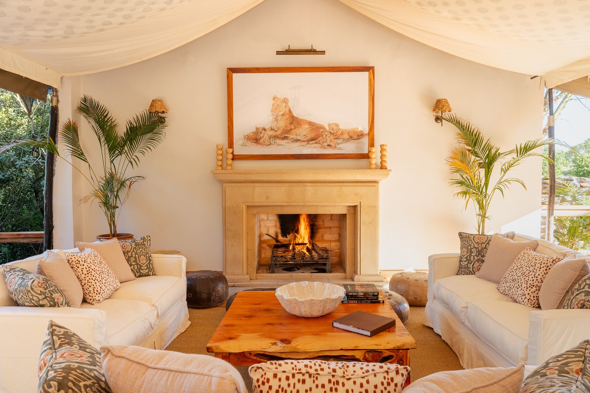 Africa's Big 5 Safari