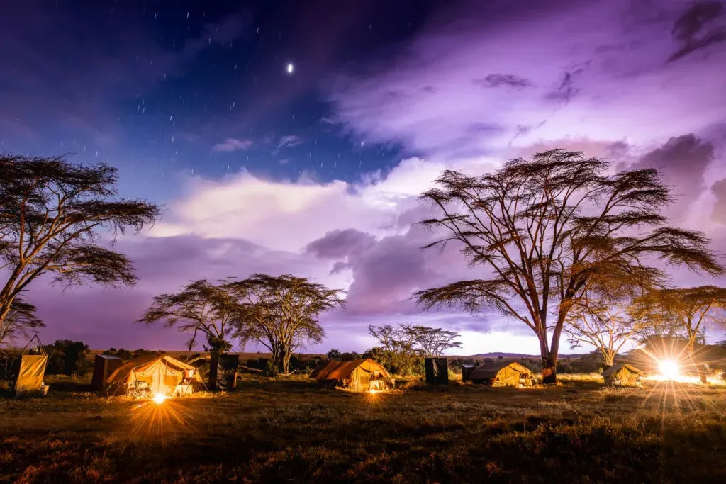 Africa's Big 5 Safari