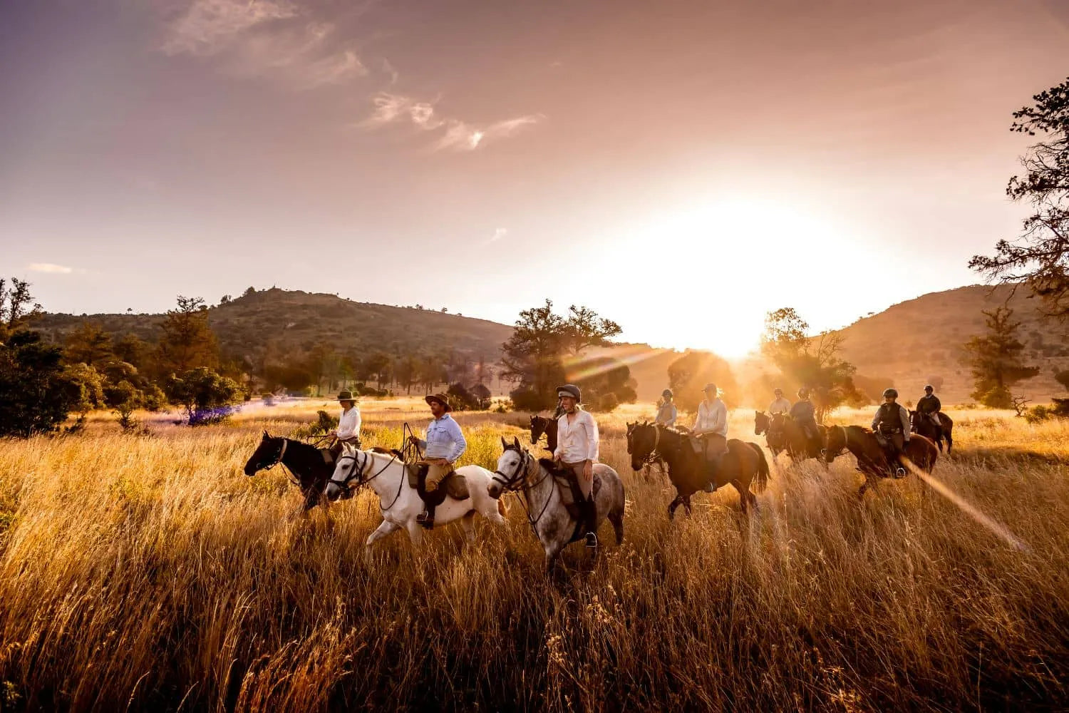 Africa's Big 5 Safari