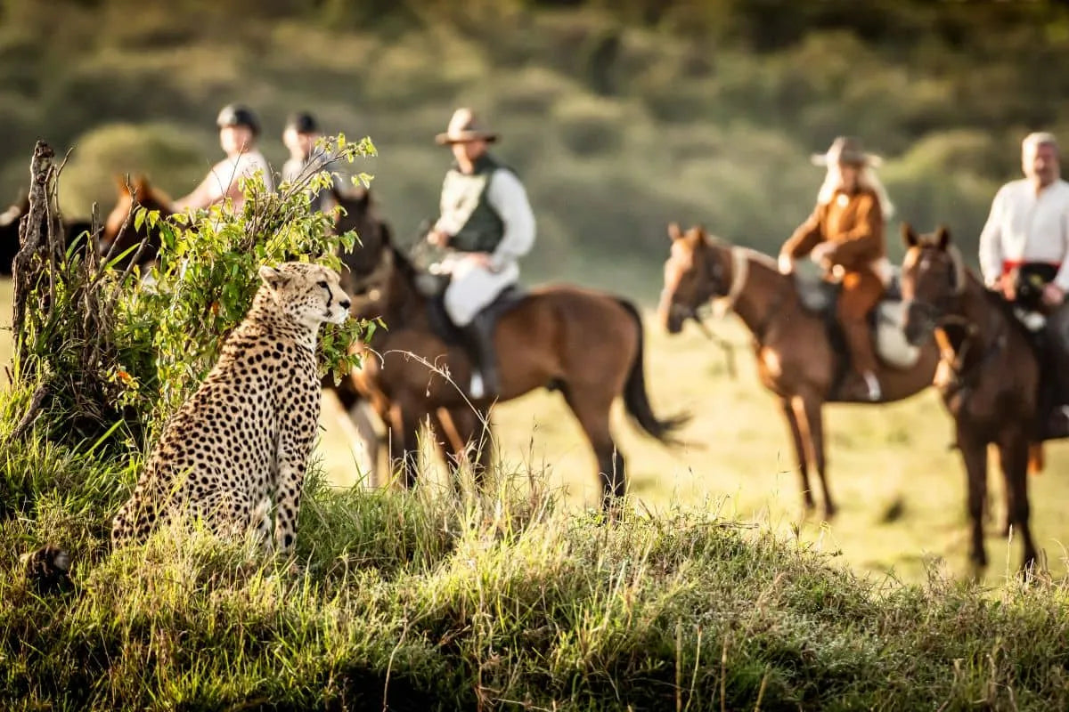 Africa's Big 5 Safari