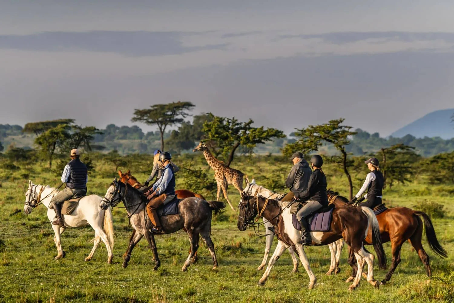 Africa's Big 5 Safari