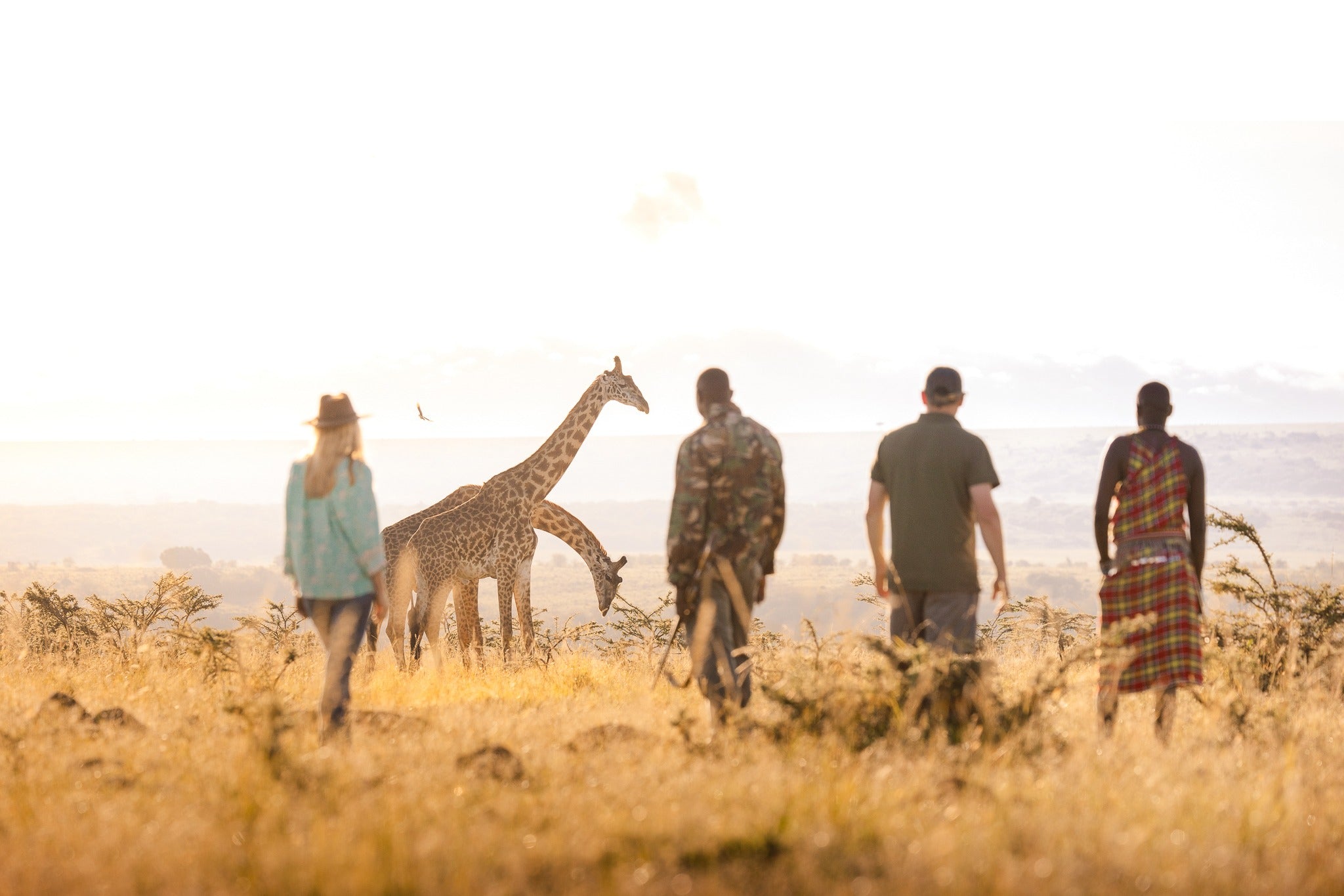 Africa's Big 5 Safari