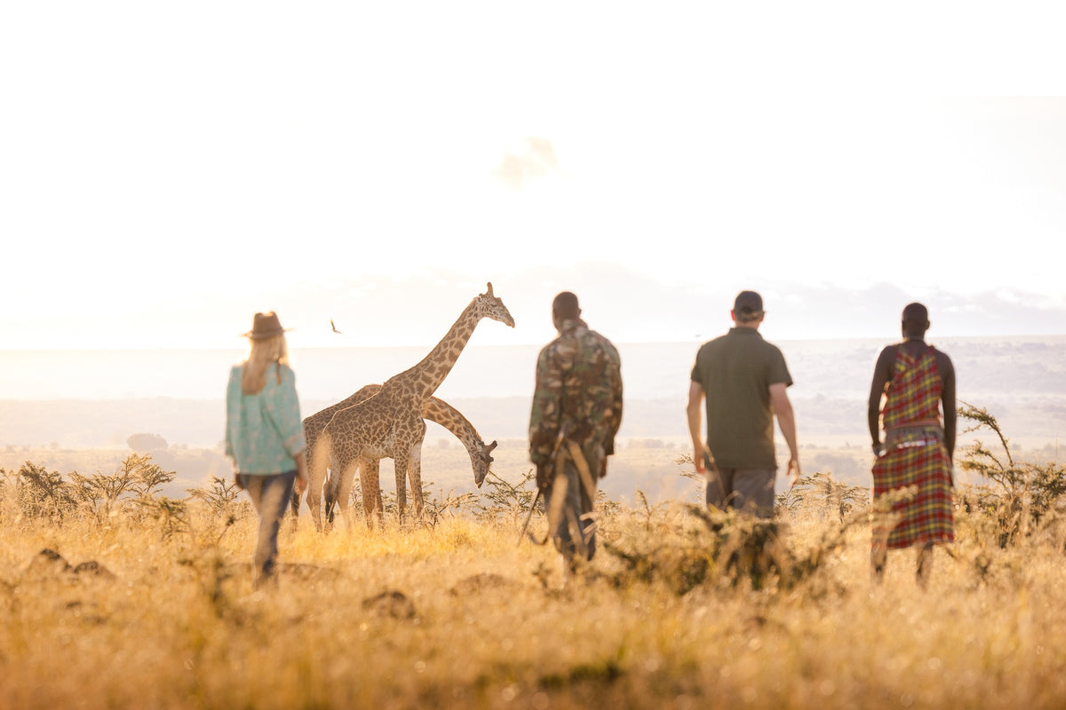 Africa's Big 5 Safari