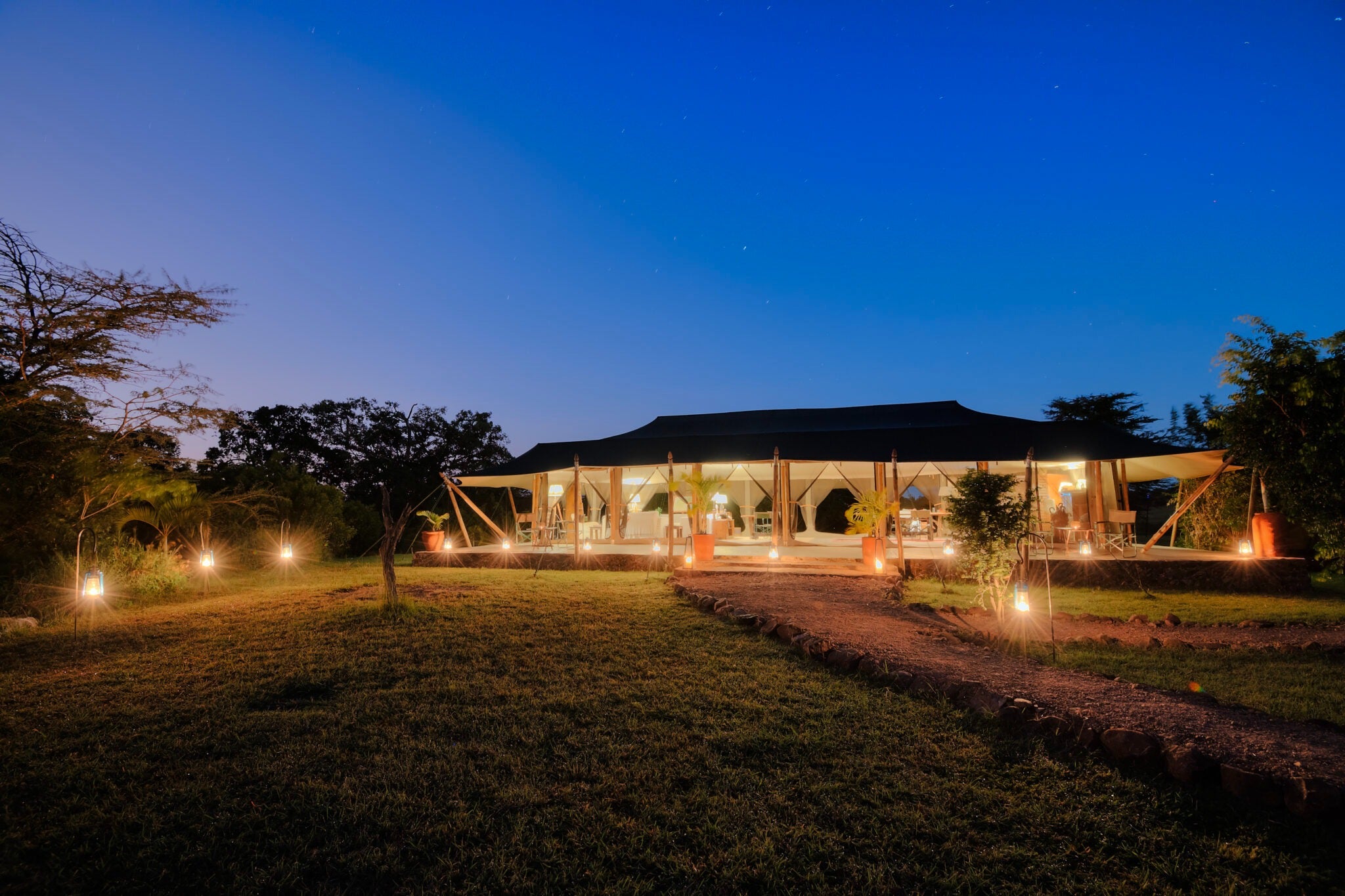 Africa's Big 5 Safari