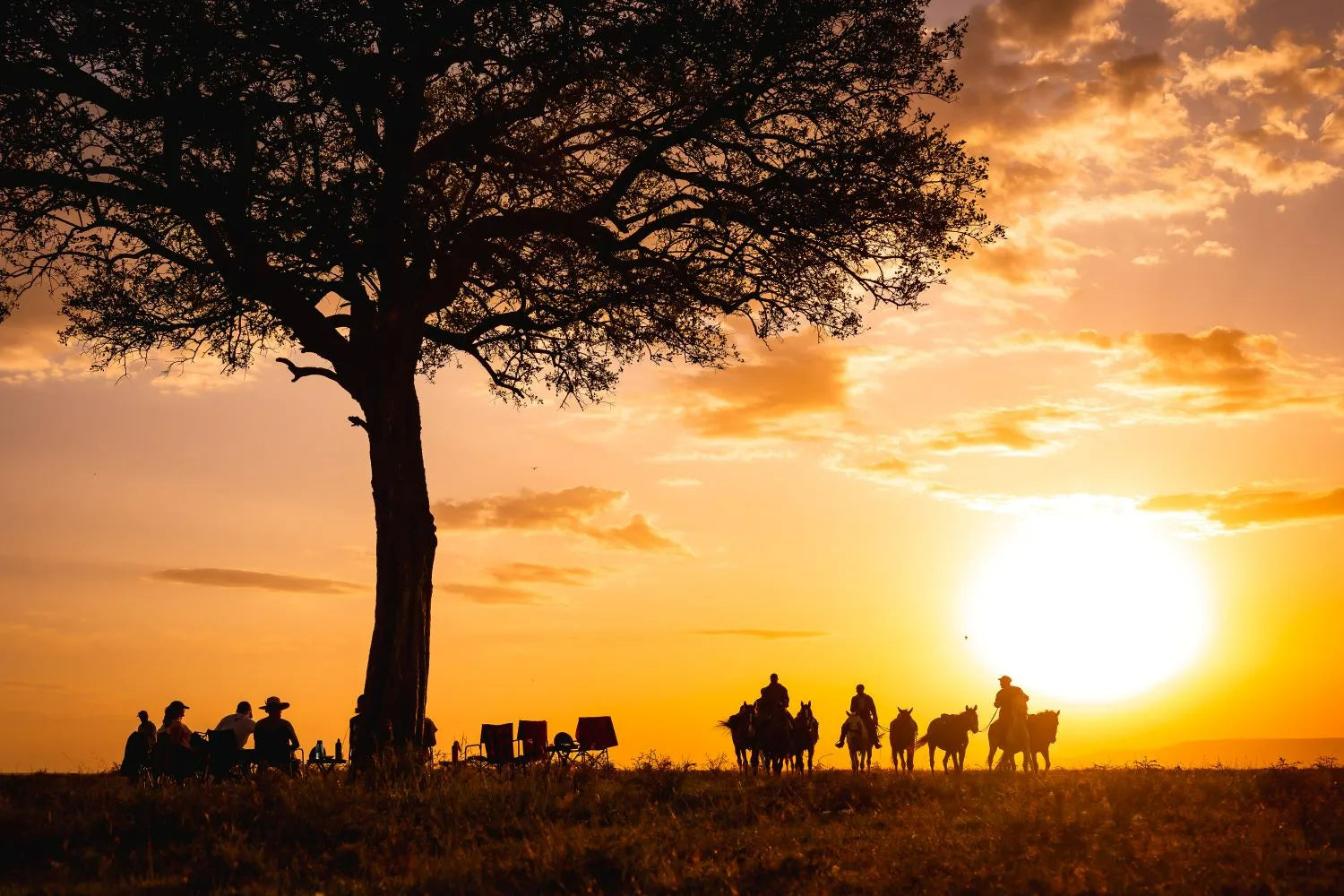 Africa's Big 5 Safari
