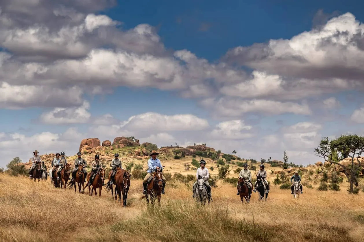 Africa's Big 5 Safari