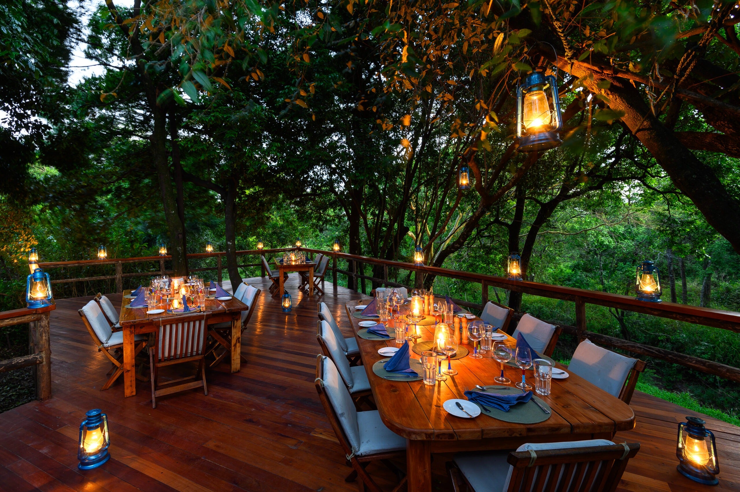 Africa's Big 5 Safari