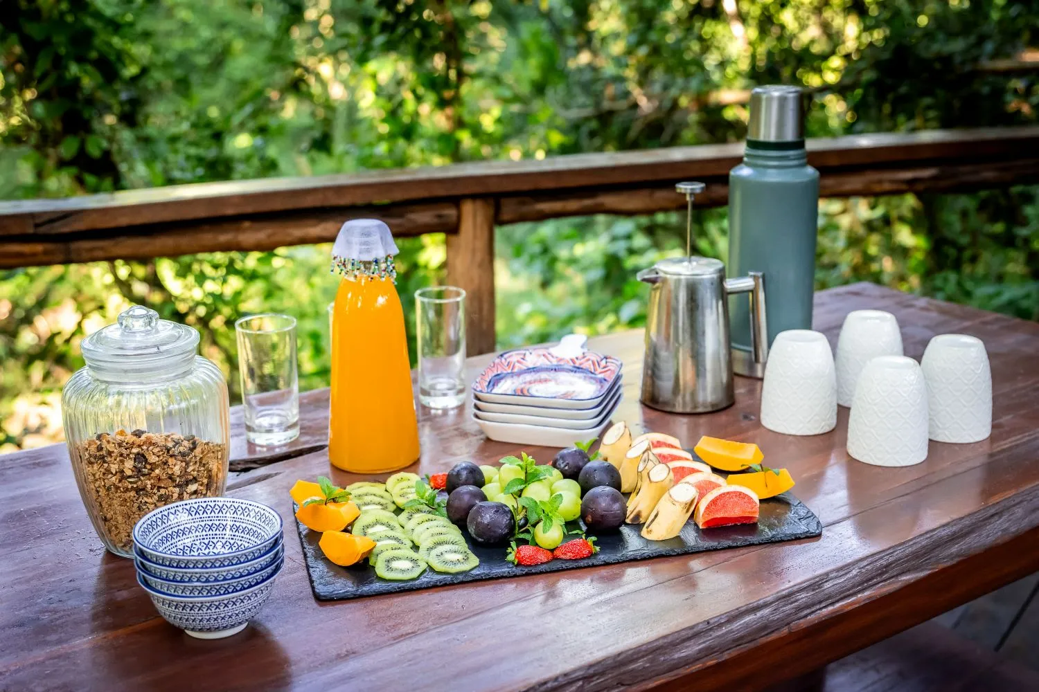Africa's Big 5 Safari