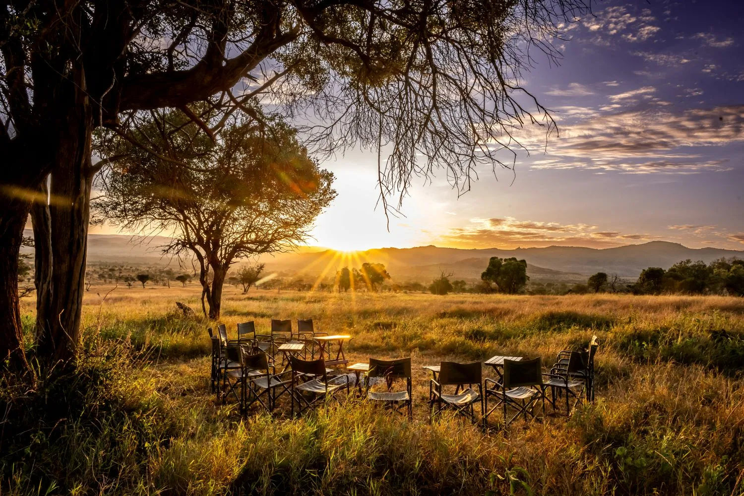 Africa's Big 5 Safari