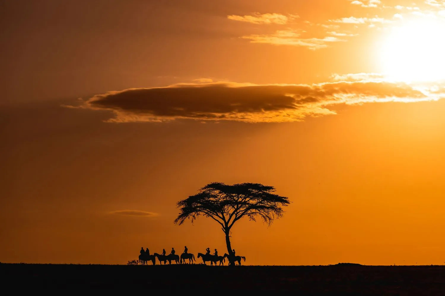 Africa's Big 5 Safari