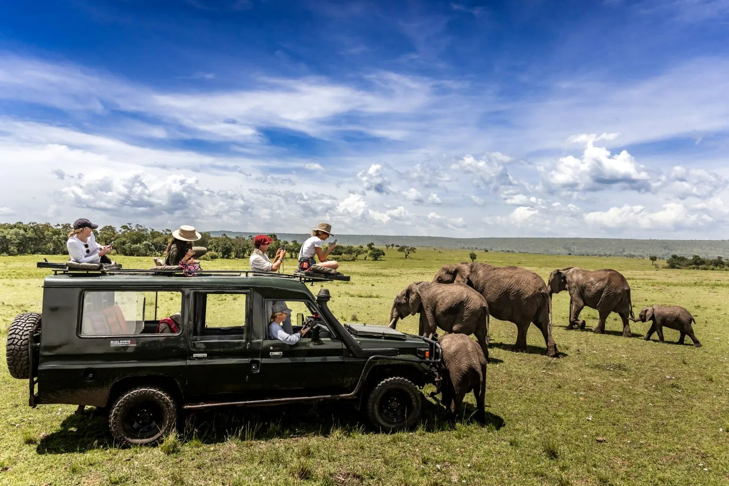 Africa's Big 5 Safari
