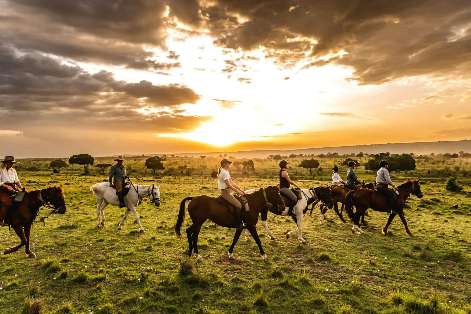 Africa's Big 5 Safari