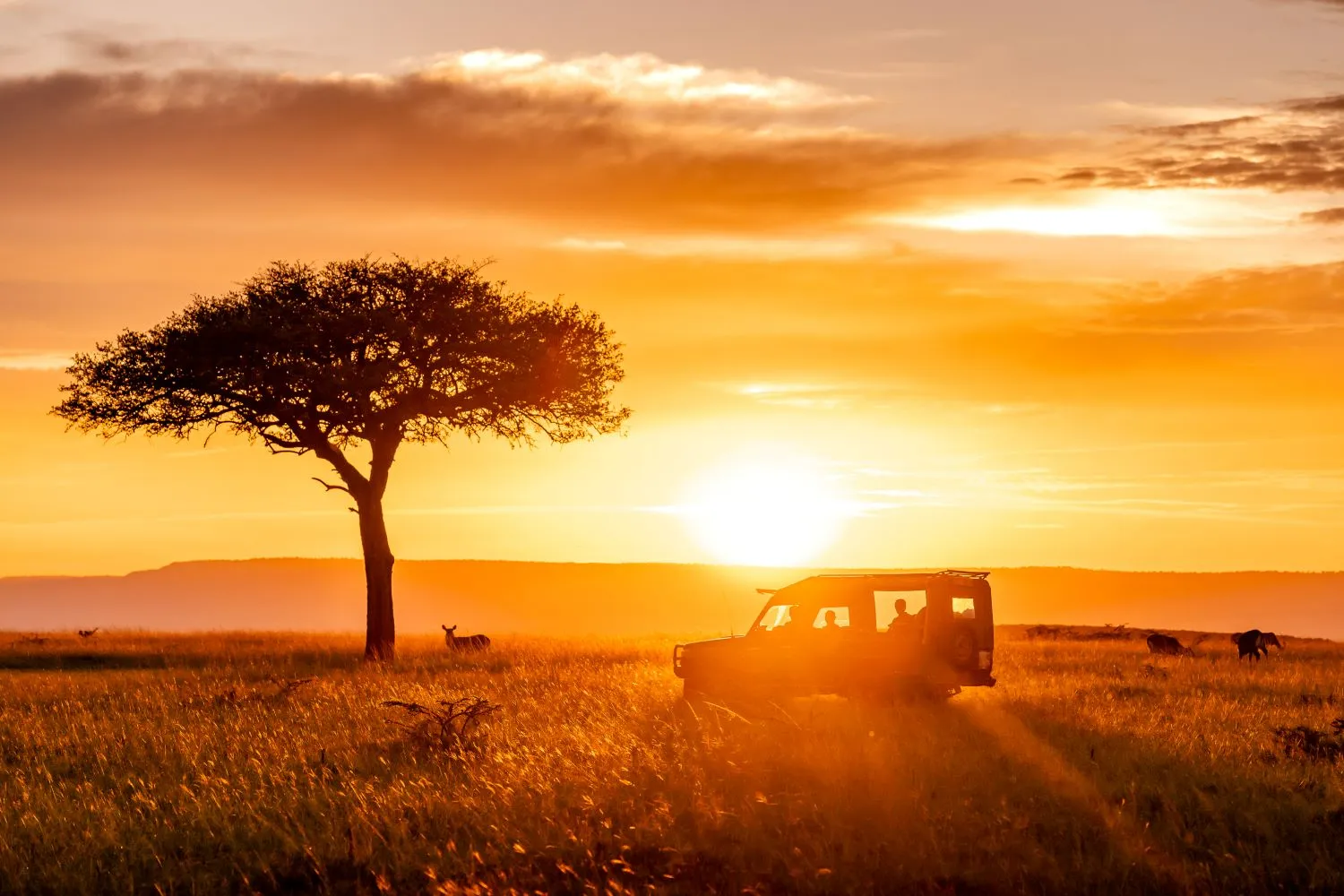 Africa's Big 5 Safari