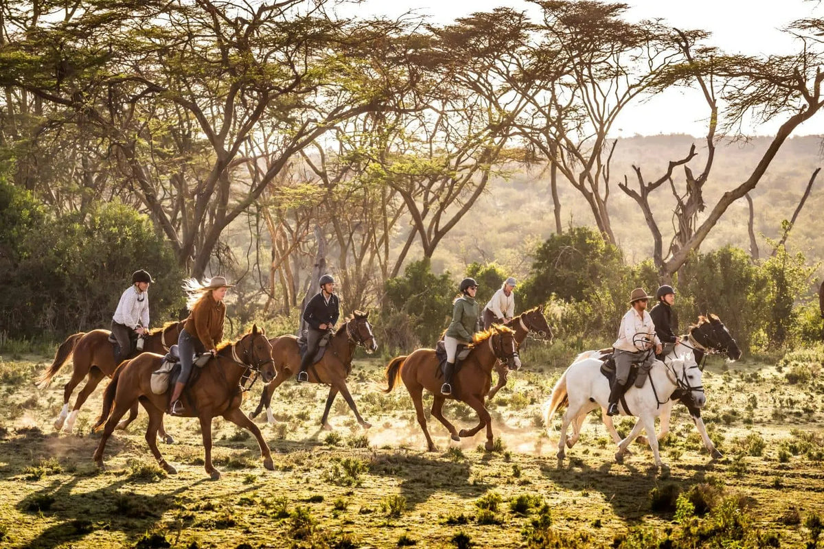 Africa's Big 5 Safari