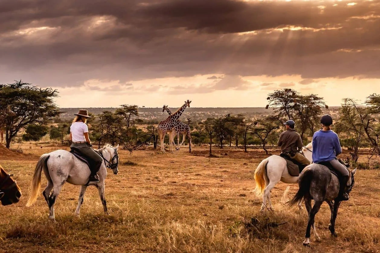 Africa's Big 5 Safari