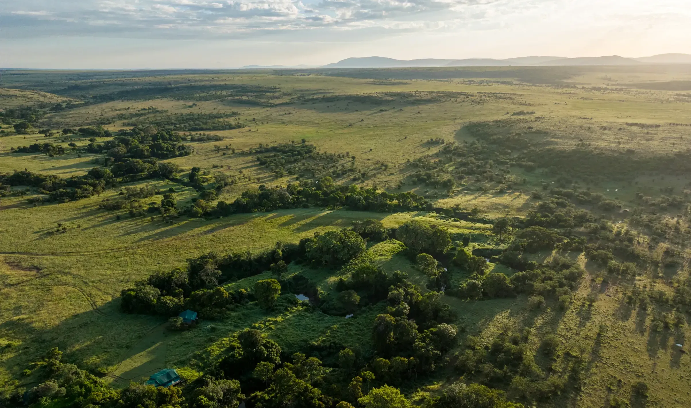 Africa's Big 5 Safari