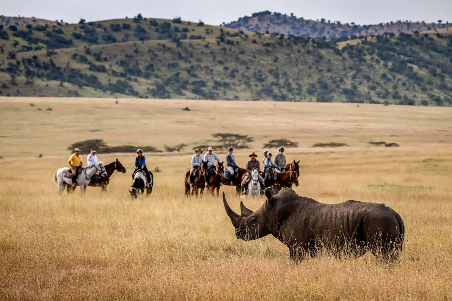 Africa's Big 5 Safari
