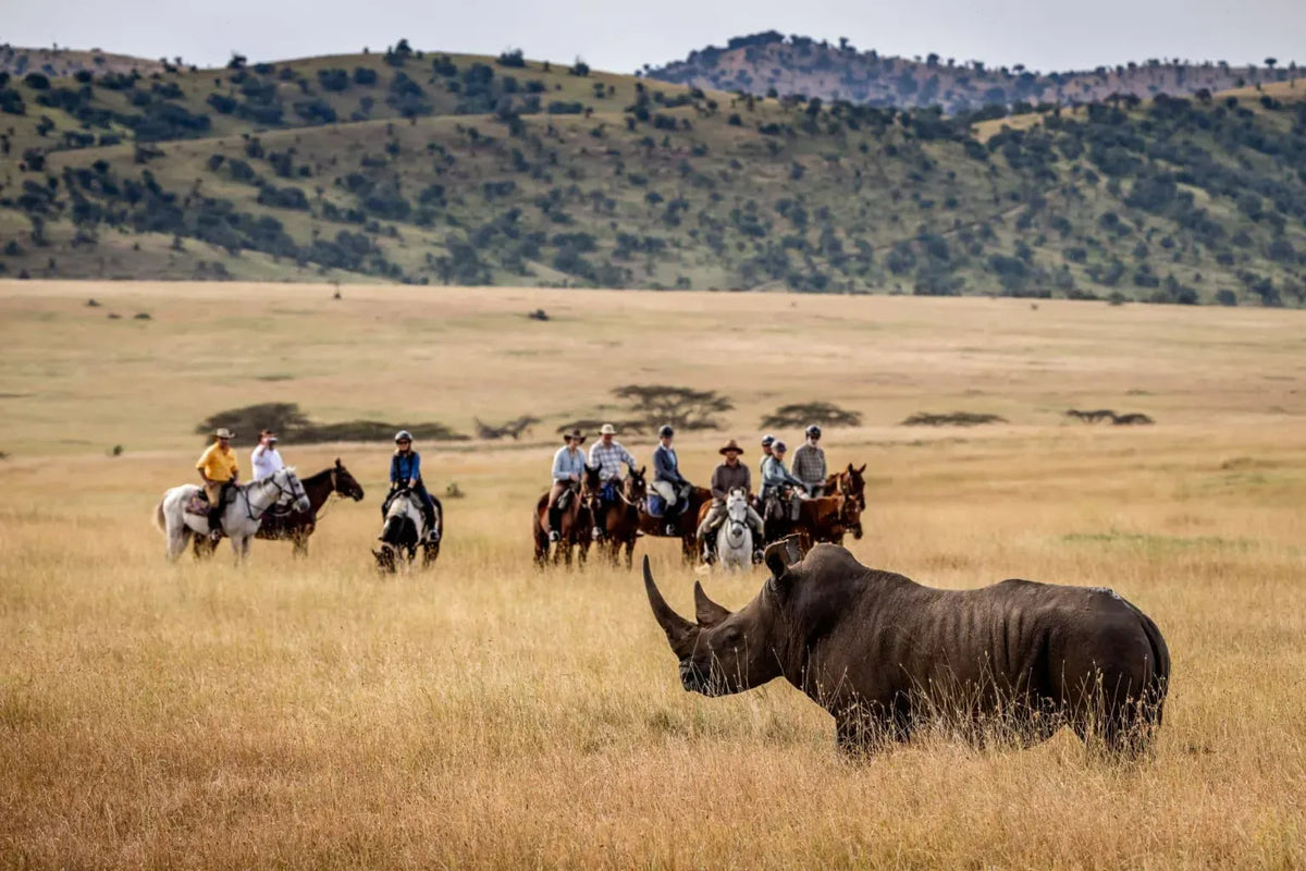 Africa's Big 5 Safari