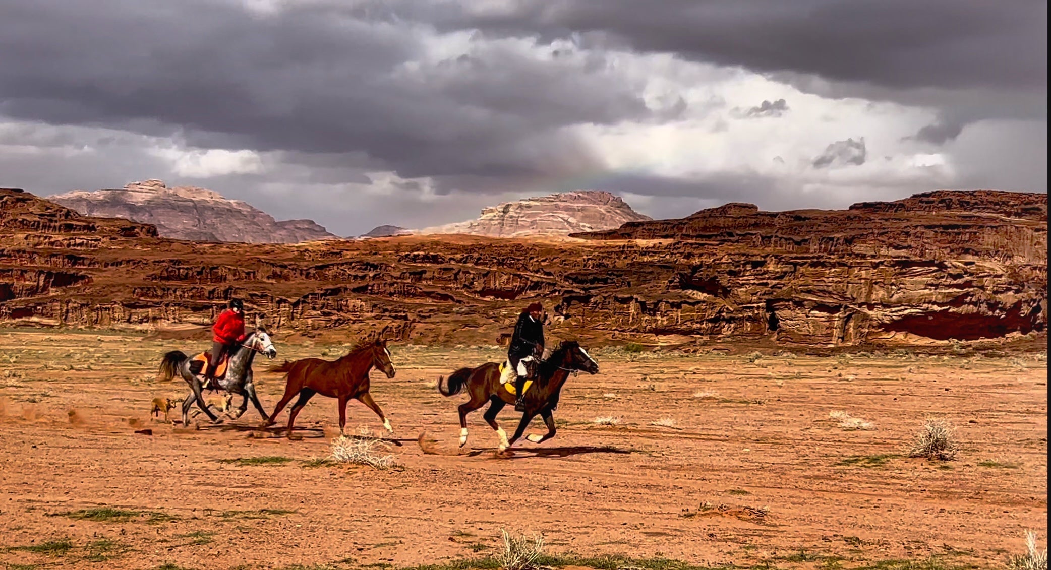 Petra, Rose Desert & Arabian Sands - Image 10