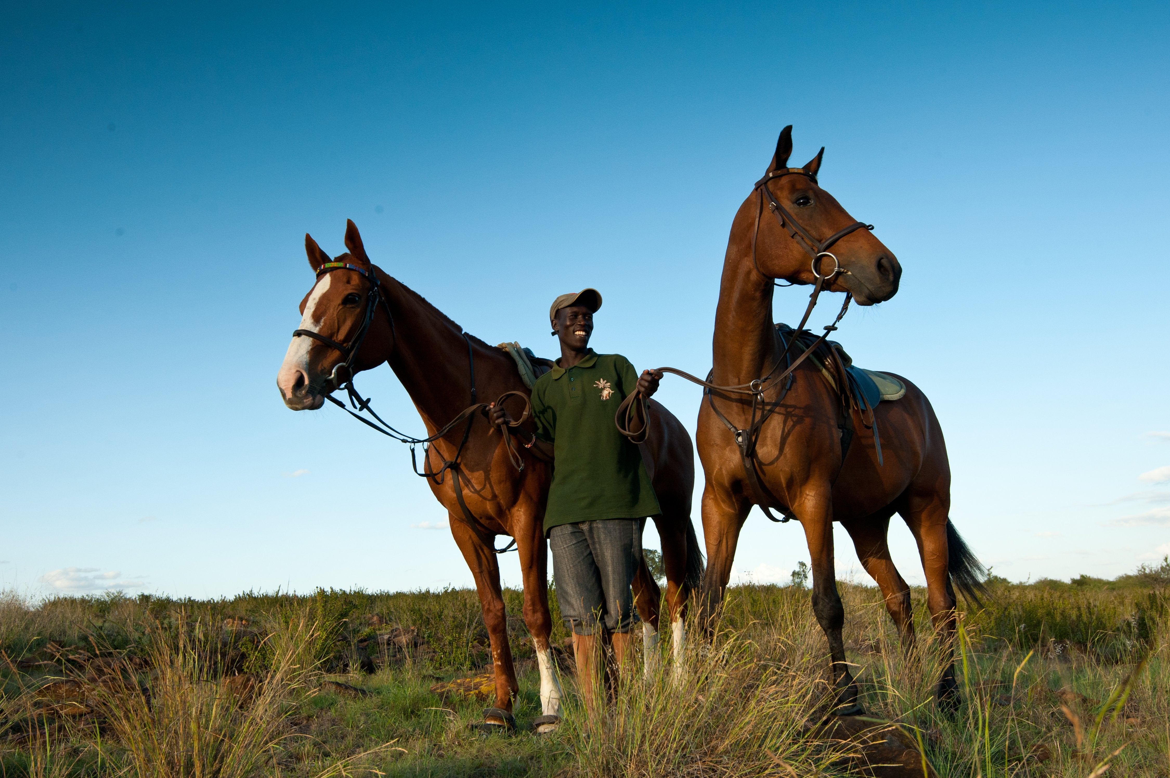 Africa's Big 5 Safari - horseXperiences™ GO EQUESTRIAN