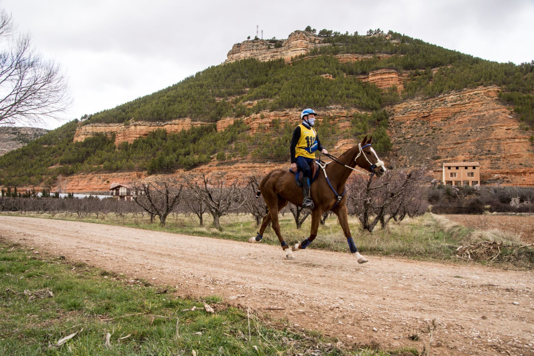 A Taste of Endurance - horseXperiences™ GO EQUESTRIAN