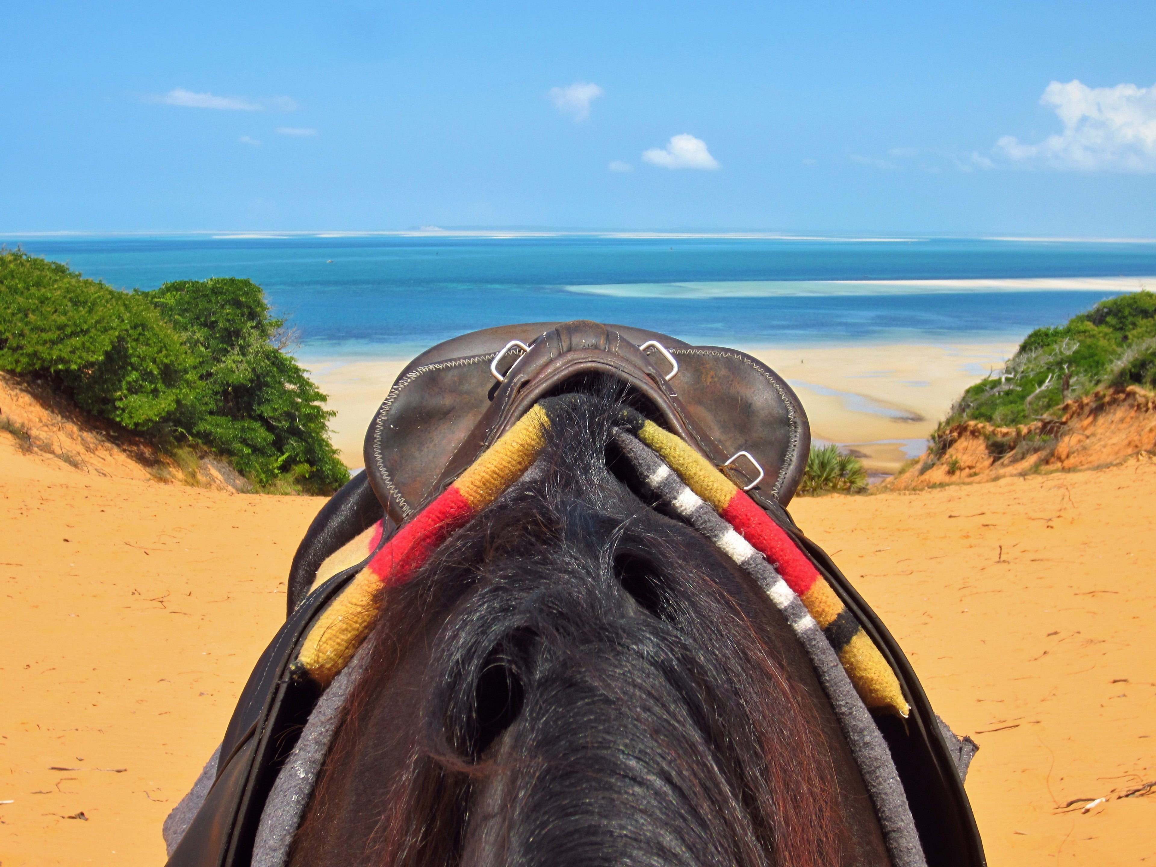 African Paradise - horseXperiences™ GO EQUESTRIAN