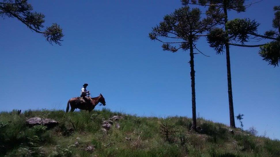 The Gaucho Trail - horseXperiences™ GO EQUESTRIAN