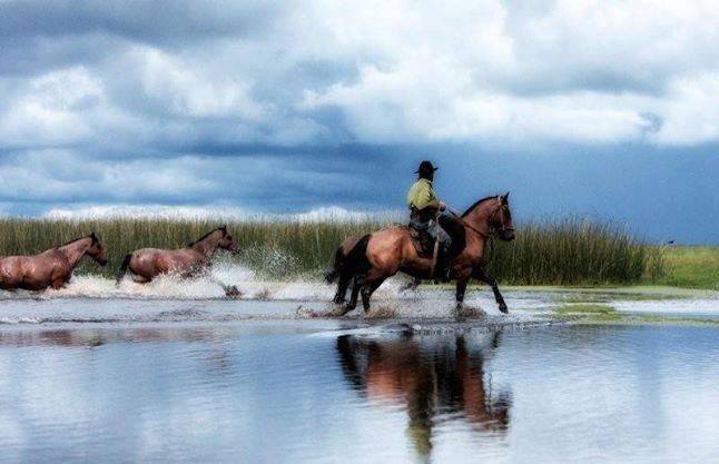 The Gaucho Trail - horseXperiences™ GO EQUESTRIAN