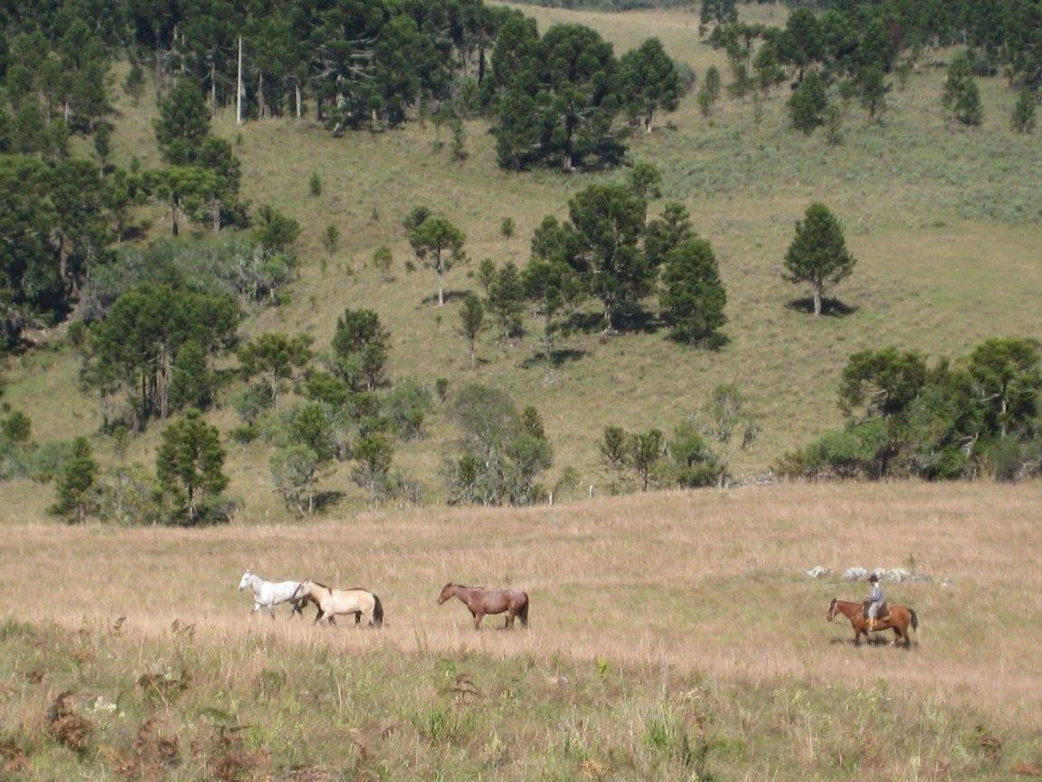 The Gaucho Trail - horseXperiences™ GO EQUESTRIAN