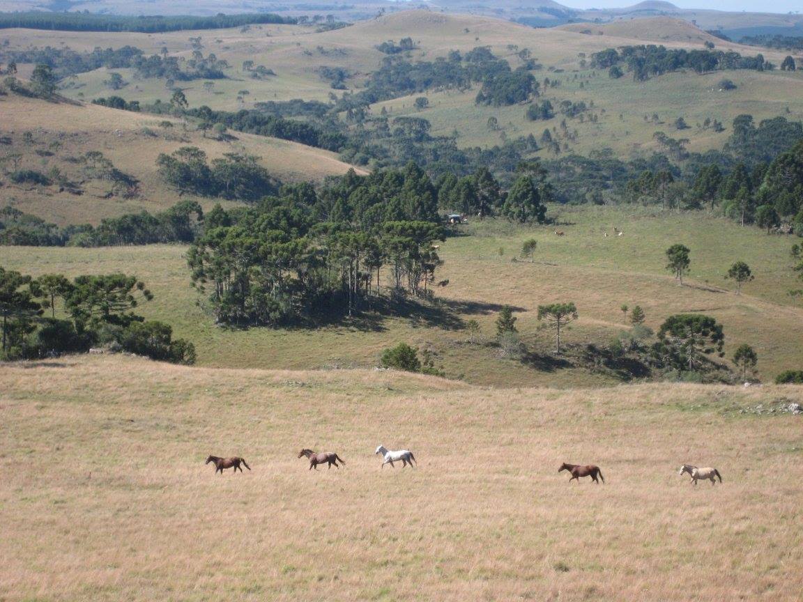 The Gaucho Trail - horseXperiences™ GO EQUESTRIAN