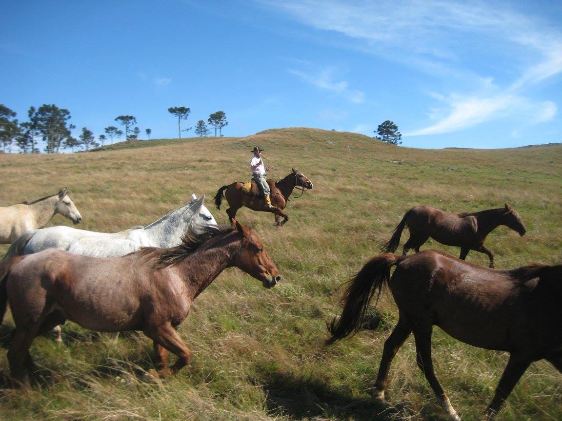 The Gaucho Trail - horseXperiences™ GO EQUESTRIAN