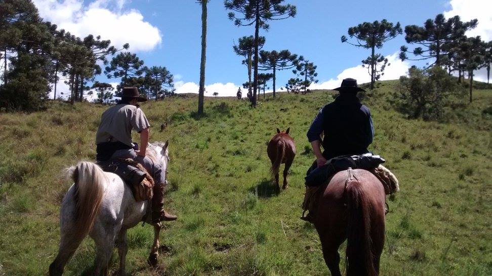 The Gaucho Trail - horseXperiences™ GO EQUESTRIAN