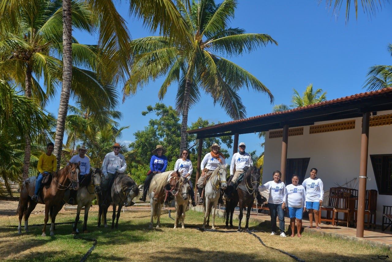 Coconut Trail Ride - horseXperiences™ GO EQUESTRIAN