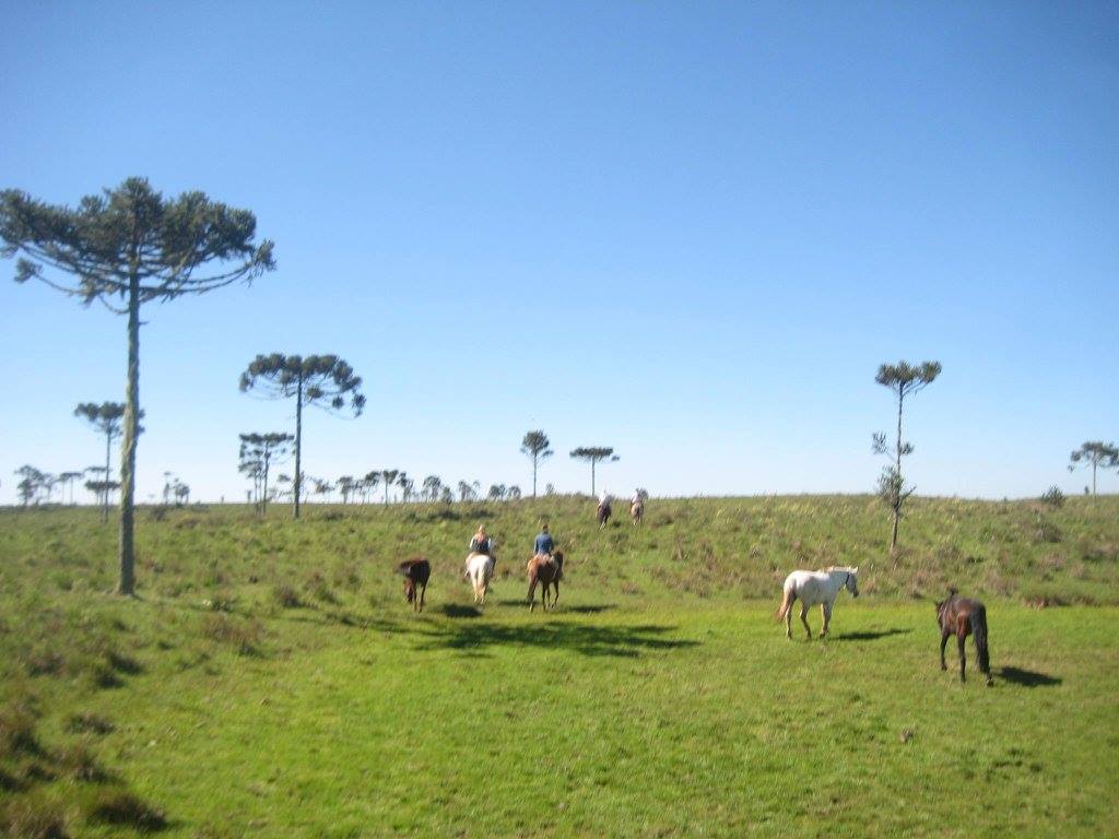 The Gaucho Trail - horseXperiences™ GO EQUESTRIAN