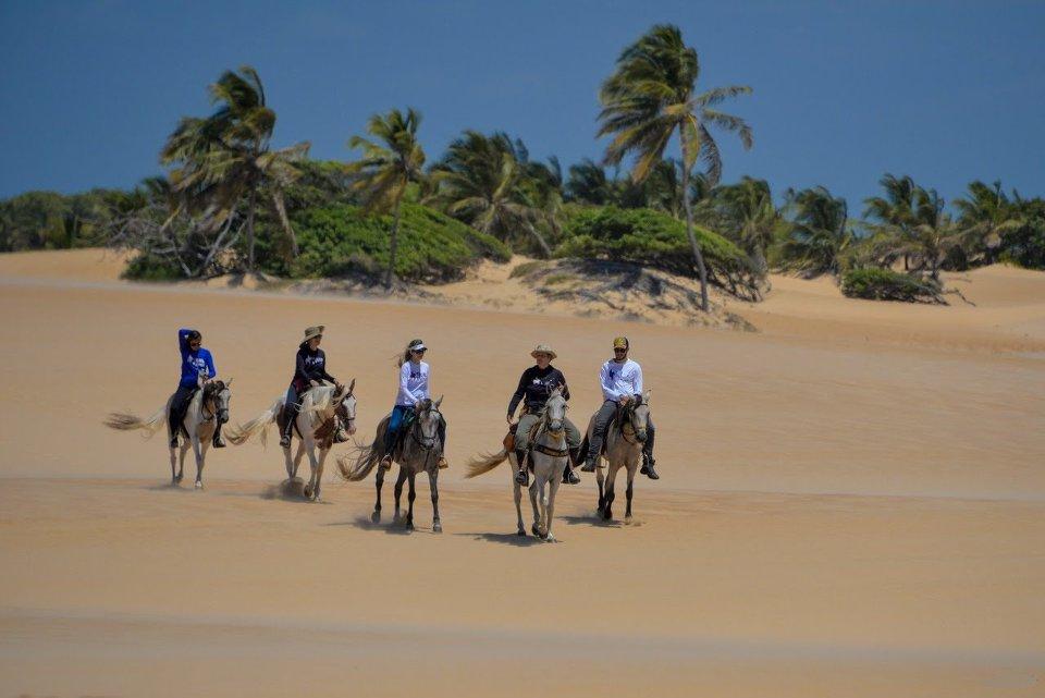 Coconut Trail Ride - horseXperiences™ GO EQUESTRIAN
