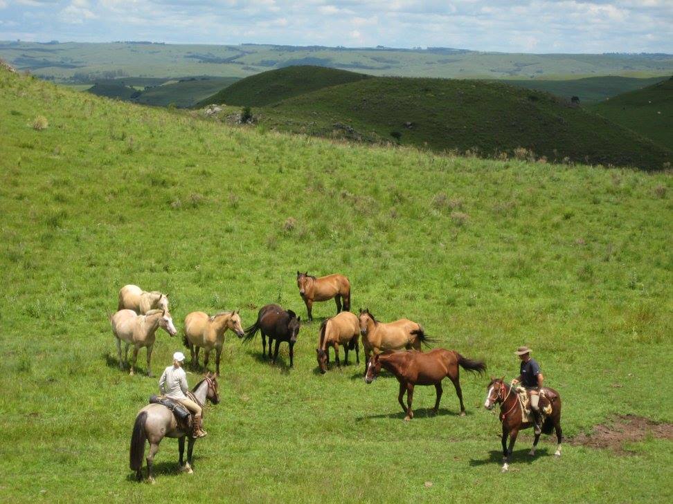 The Gaucho Trail - horseXperiences™ GO EQUESTRIAN