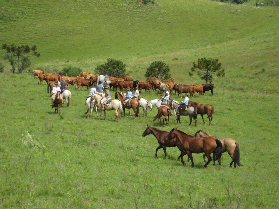 The Gaucho Trail - horseXperiences™ GO EQUESTRIAN