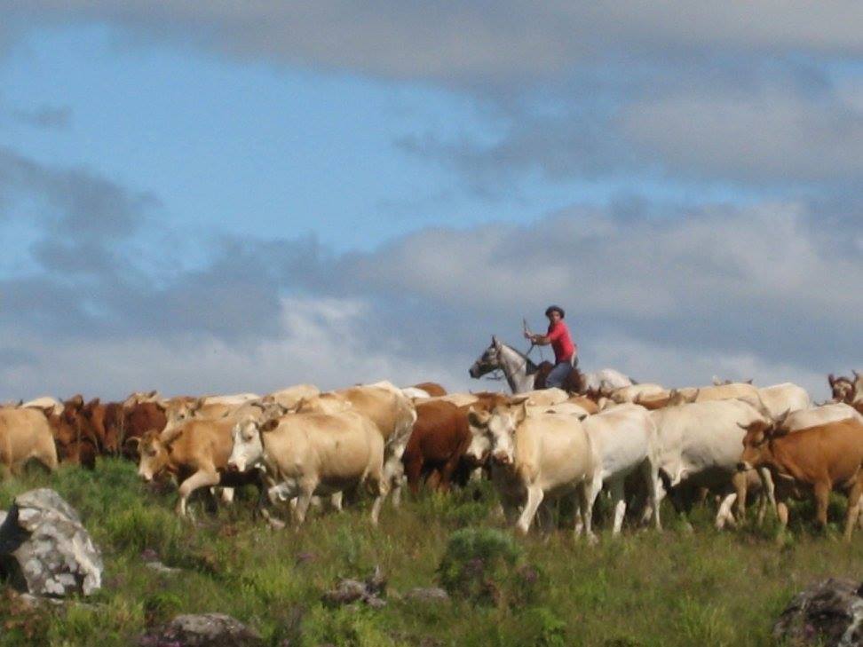 The Gaucho Trail - horseXperiences™ GO EQUESTRIAN