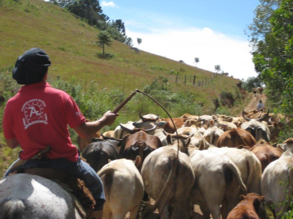 The Gaucho Trail - horseXperiences™ GO EQUESTRIAN