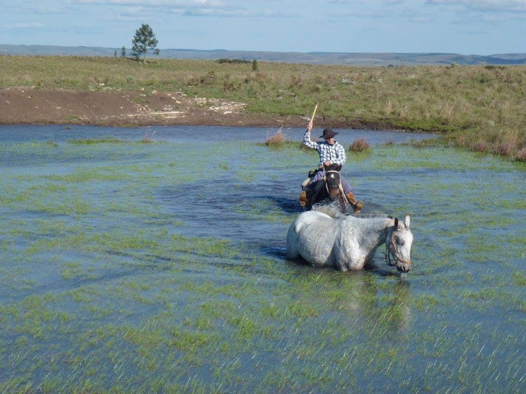 The Gaucho Trail - horseXperiences™ GO EQUESTRIAN