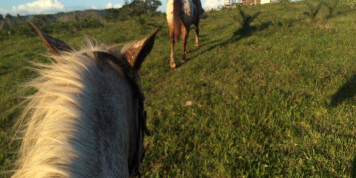 Xunantunich Riding Tour - horseXperiences™ GO EQUESTRIAN