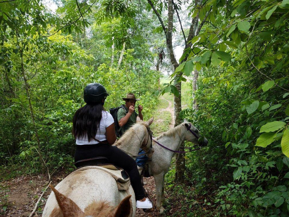 Xunantunich Riding Tour - horseXperiences™ GO EQUESTRIAN