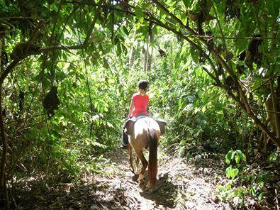 Birds Eye View Tour - horseXperiences™ GO EQUESTRIAN