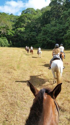 Birds Eye View Tour - horseXperiences™ GO EQUESTRIAN