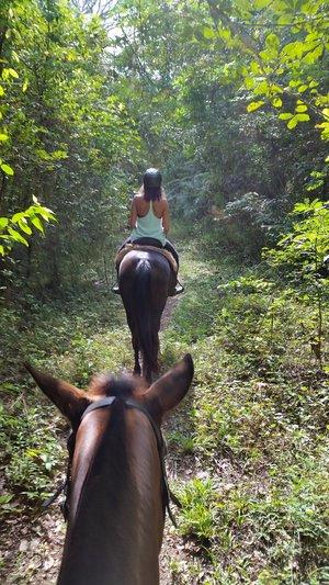 Birds Eye View Tour - horseXperiences™ GO EQUESTRIAN