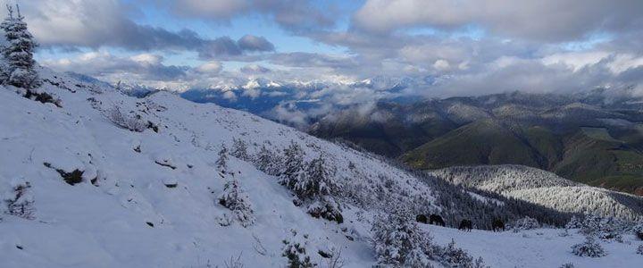 Wildlife Tracking & Conservation - horseXperiences™ GO EQUESTRIAN